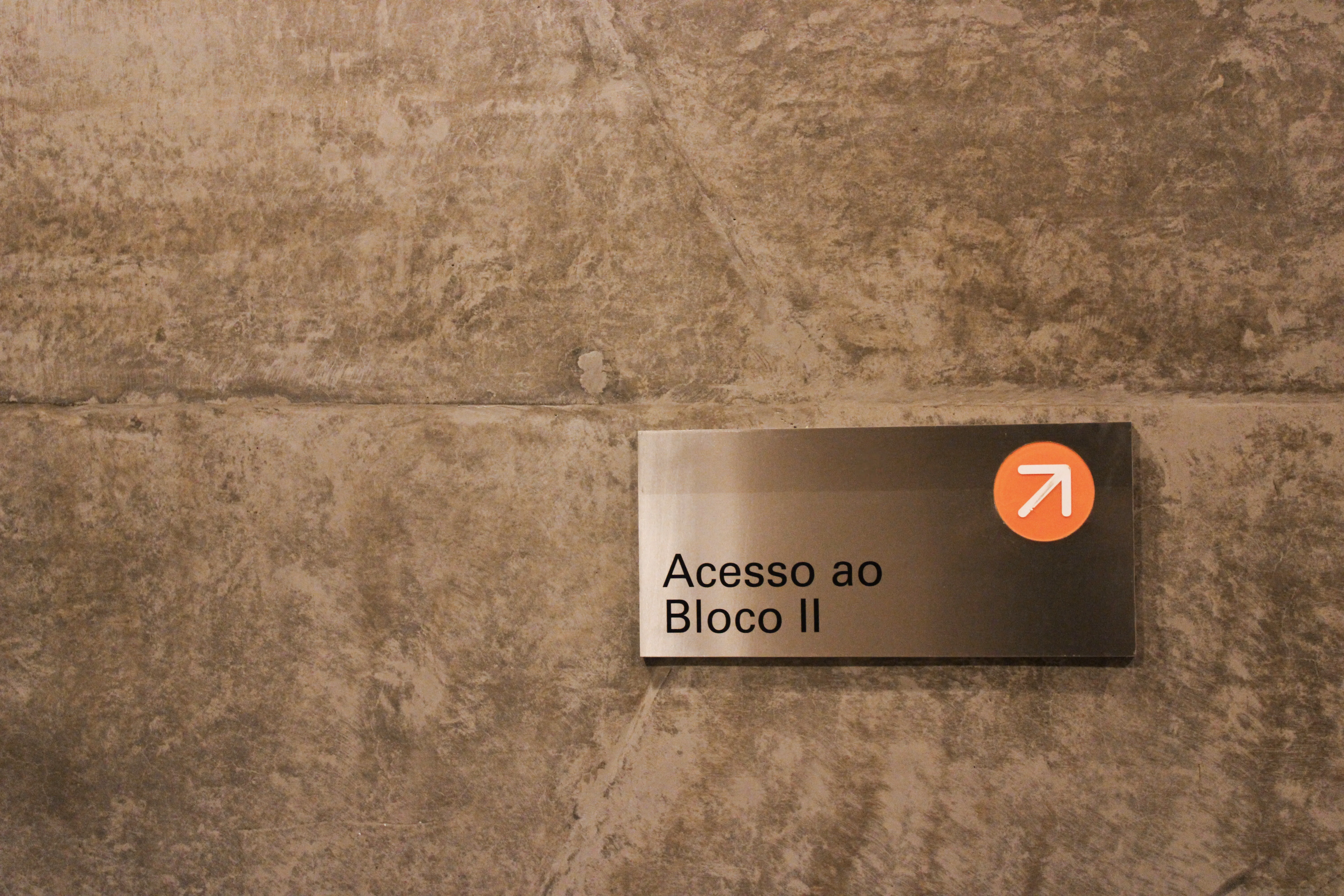 Imagem 2 - A arte não está apenas em muse...